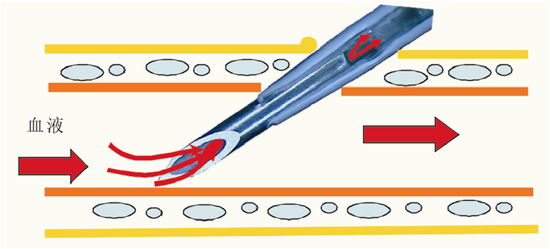 �Ƿ�����(�й���)-�ٷ���վ