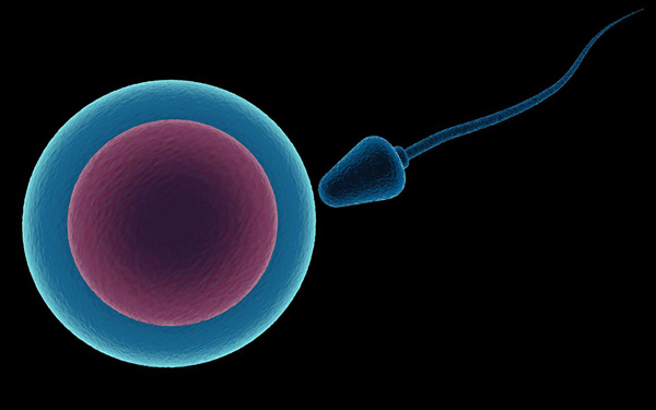 �Ƿ�����(�й���)-�ٷ���վ