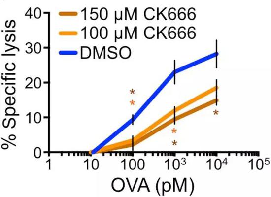 CK666��������Tϸ���԰�ϸ���ѽ�������������